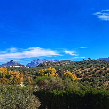 Cortijo La Canada Zambra エクステリア 写真
