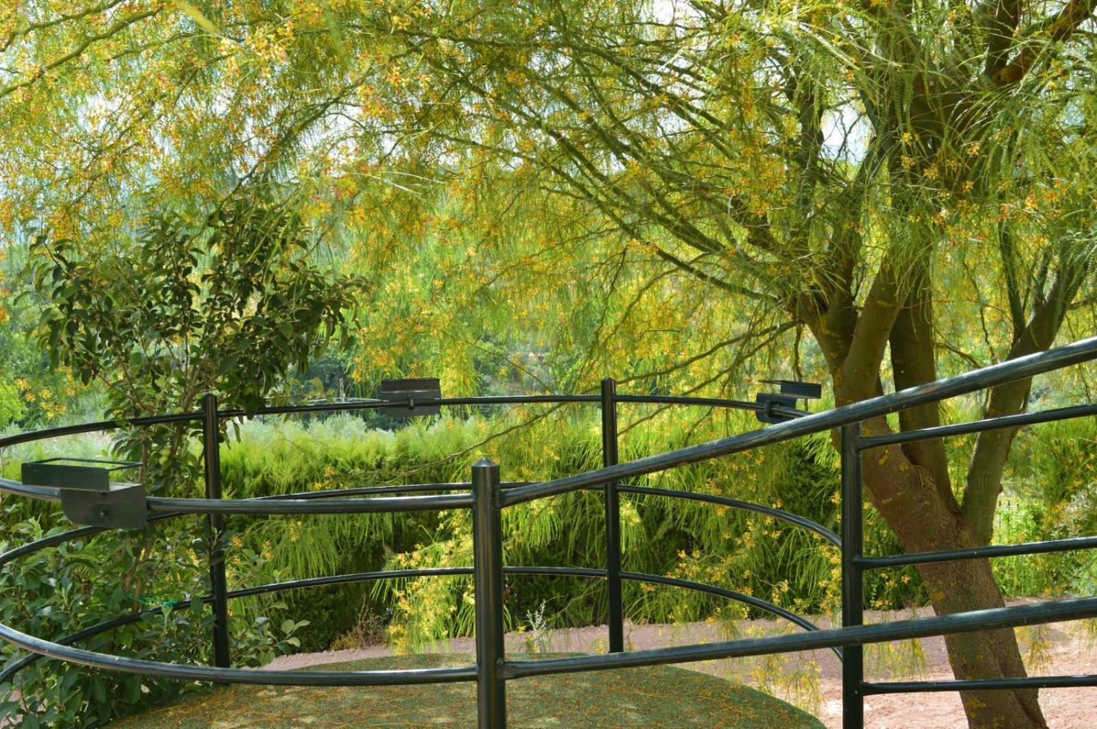 Cortijo La Canada Zambra エクステリア 写真