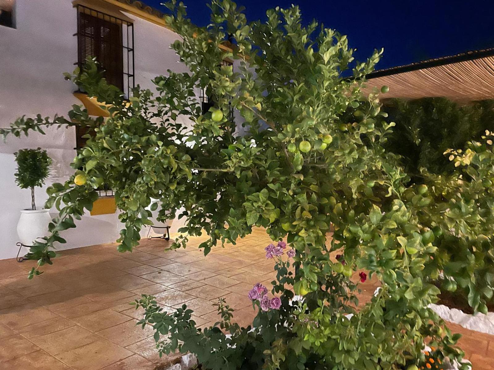 Cortijo La Canada Zambra エクステリア 写真