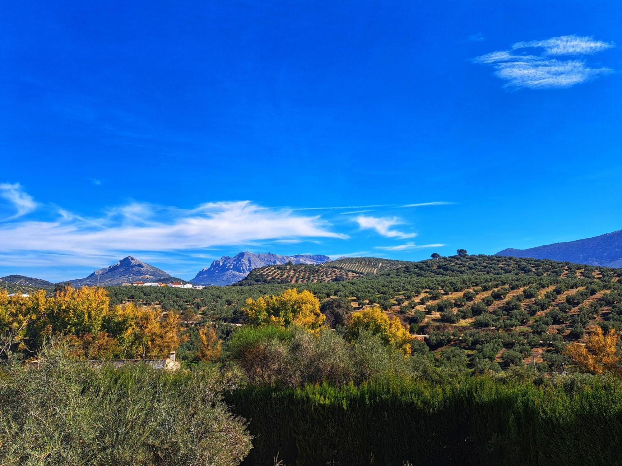 Cortijo La Canada Zambra エクステリア 写真